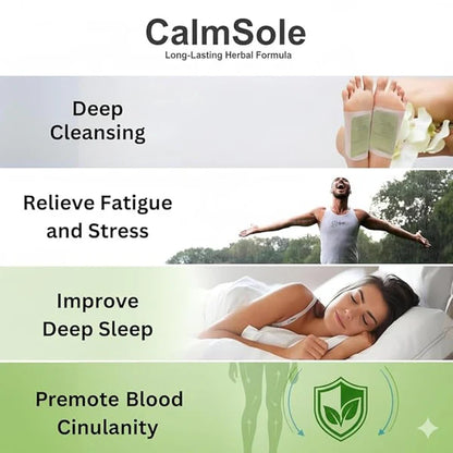 Premium Detox Foot Patches